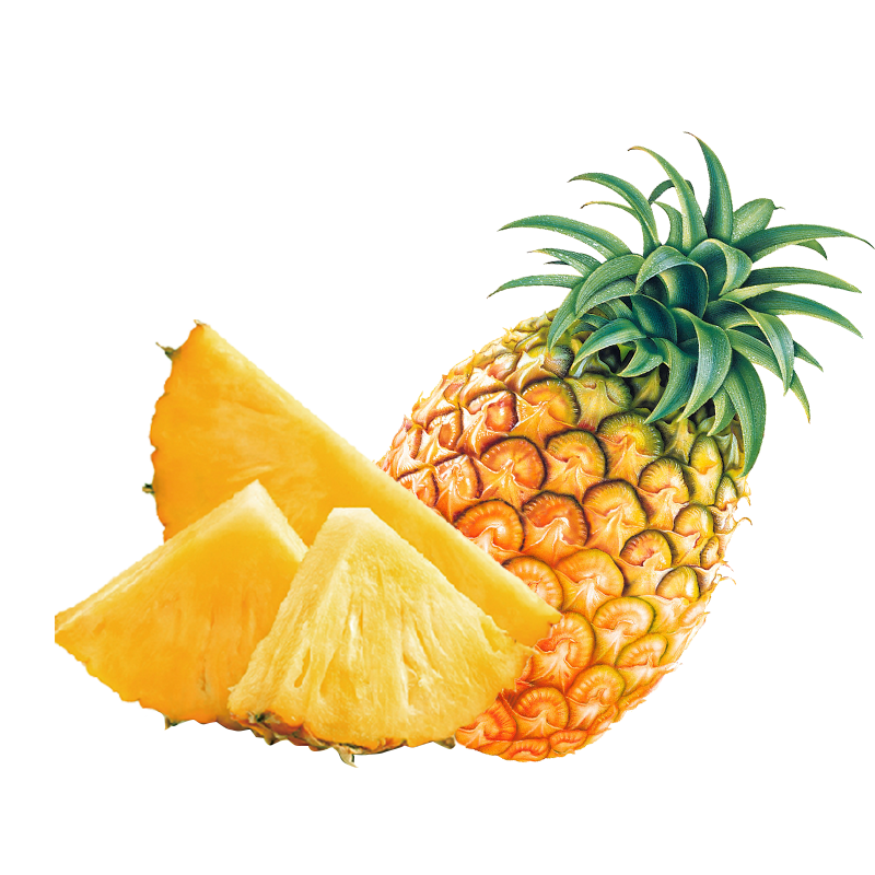 pngwing.com (40)